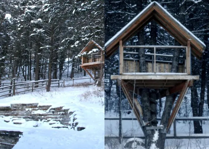 Secluded Cabin Rental Nestled In Woods Of Snow King Mountain Near Jackson Hole