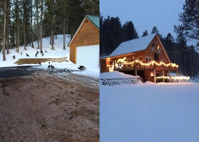 Rustic Pet-Friendly Cabin With Private Deck Near Newcastle, Wyoming