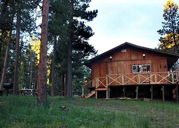 Secluded Mountain Cabin In The Quiet Woodlands Near Douglas, Wyoming