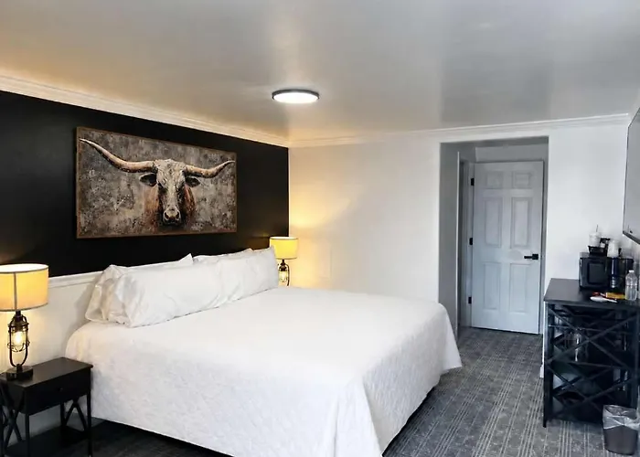 Suite 113